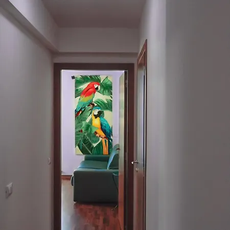 דירה Amanti Due *